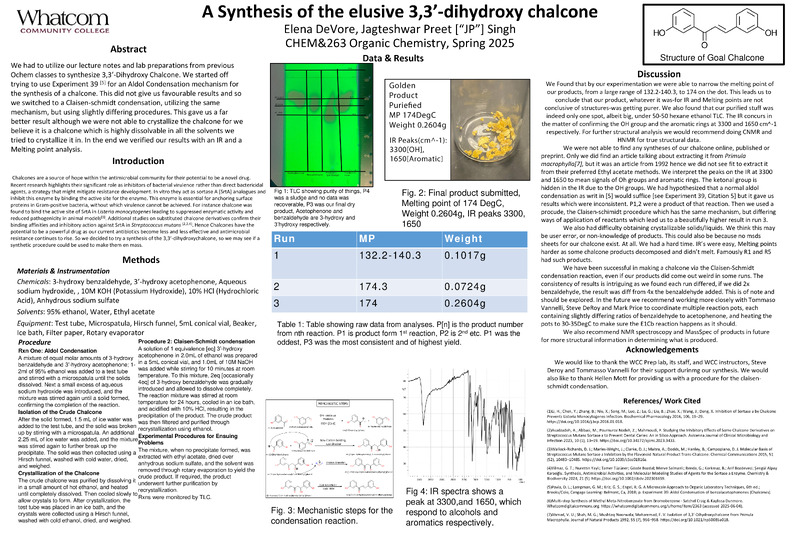 PDF "Synthesis of the Elusive"