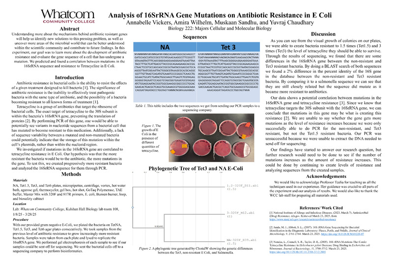 Analysis of 16SrRNA Gene Mutations on Antibiotic Resistance in E Coli