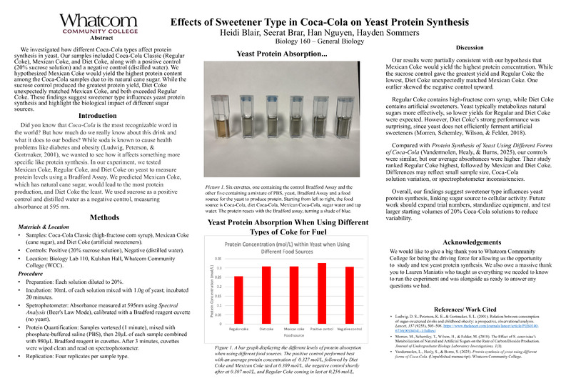 Effects of Sweetener Type in Coca-Cola on Yeast Protein Synthesis