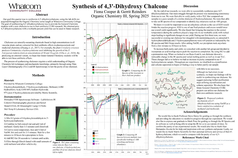 Synthesis of 4,3'-Dihydroxy Chalcone