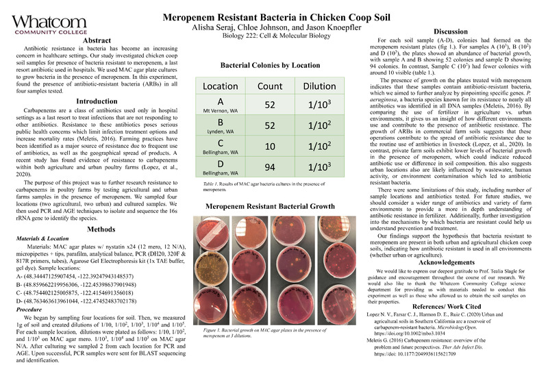 Meropenem Resistant Bacteria in Chicken Coop Soil