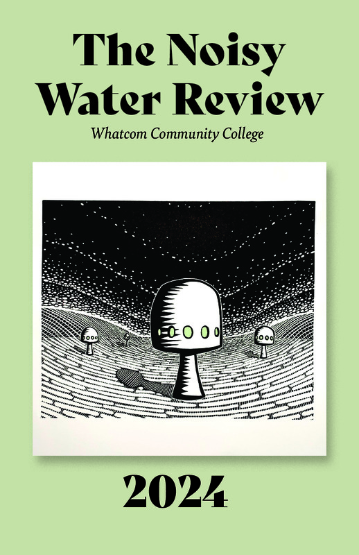 The Noisy Water Review 2024