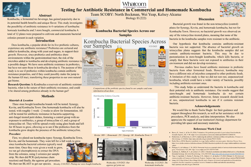 Antibiotic Resistance in Commercial and Homemade Kombucha