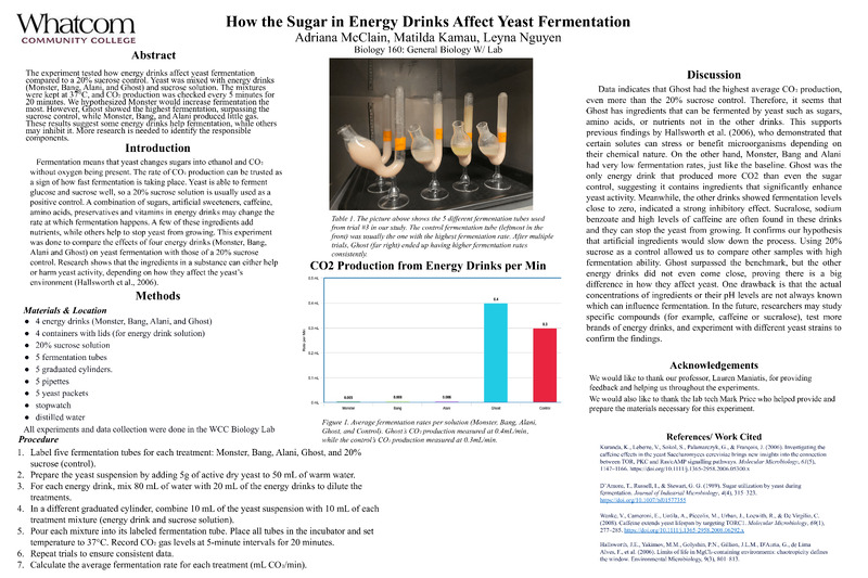 How the Sugar in Energy Drinks Affect Yeast Fermentation