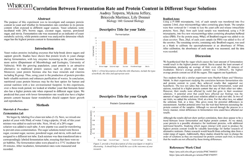 Yeast Protein Content in Different Sugar Types