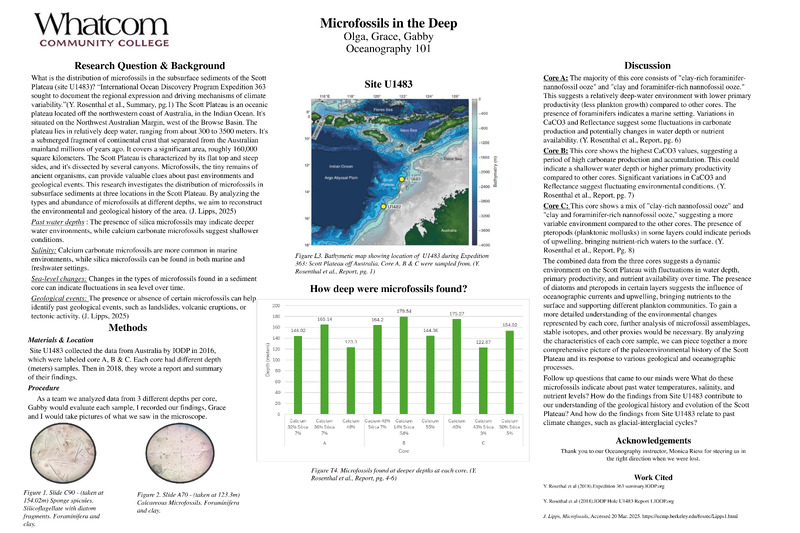 Microfossils in the Deep