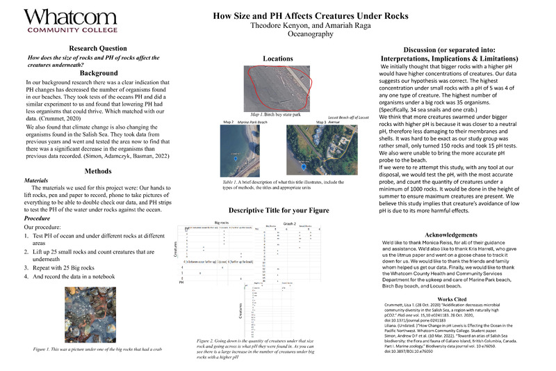 How Does Size and pH affect creatures under rocks