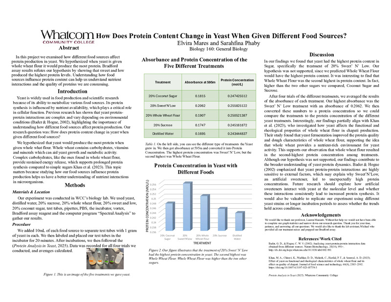 How Does Protein Content in Yeast Change When Given Different Food Sources?
