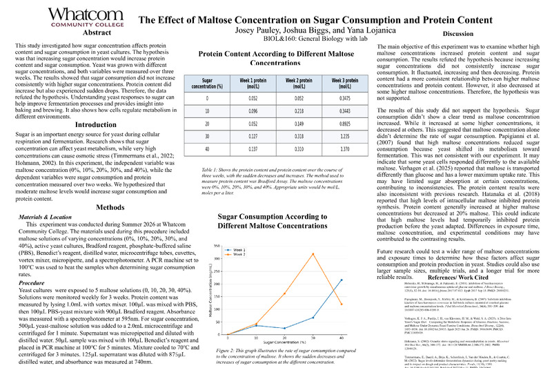 The Effect of Maltose Concentration on Sugar Consumption and Protein Content​