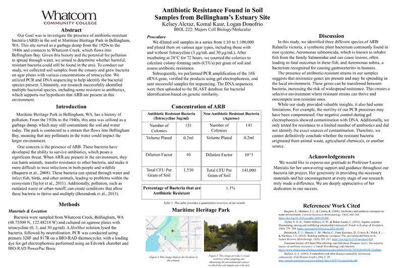 Antibiotic Resistance Found in Soil  Samples from Bellingham’s Estuary Site