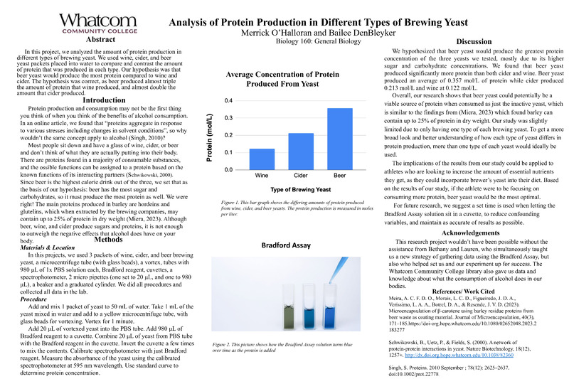 Analysis of Protein Production in Different Types of Brewing Yeast