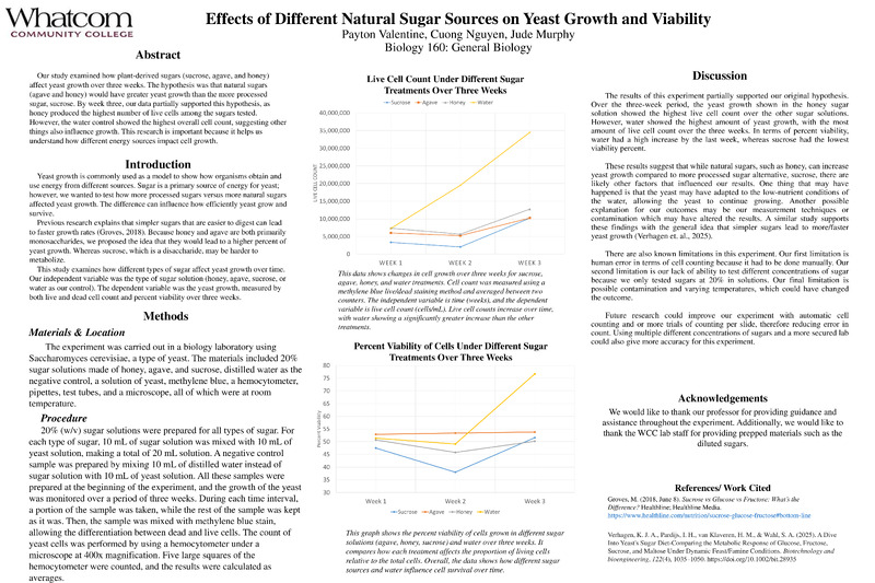Effects of Different Natural Sugar Sources on Yeast Growth and Viability