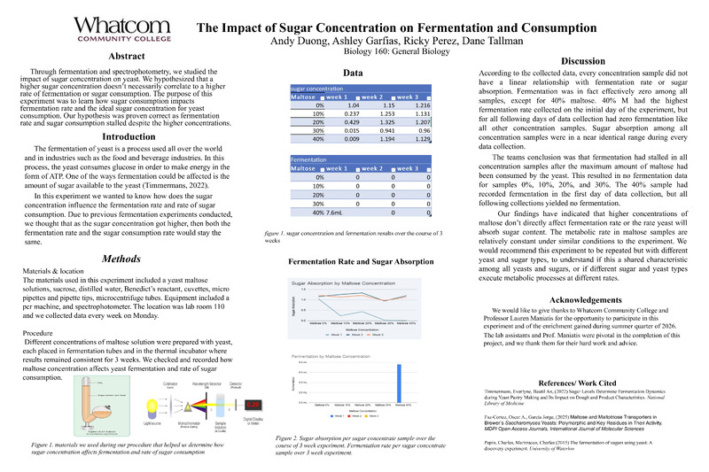 The Impact of Sugar Concentration on Fermentation and Consumption