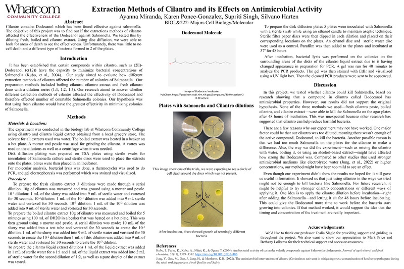 Extraction Methods of Cilantro and its Effects on Antimicrobial Activity