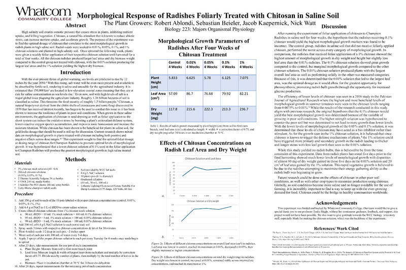 Morphological Response of Radishes Foliarly Treated with Chitosan in Saline Soil