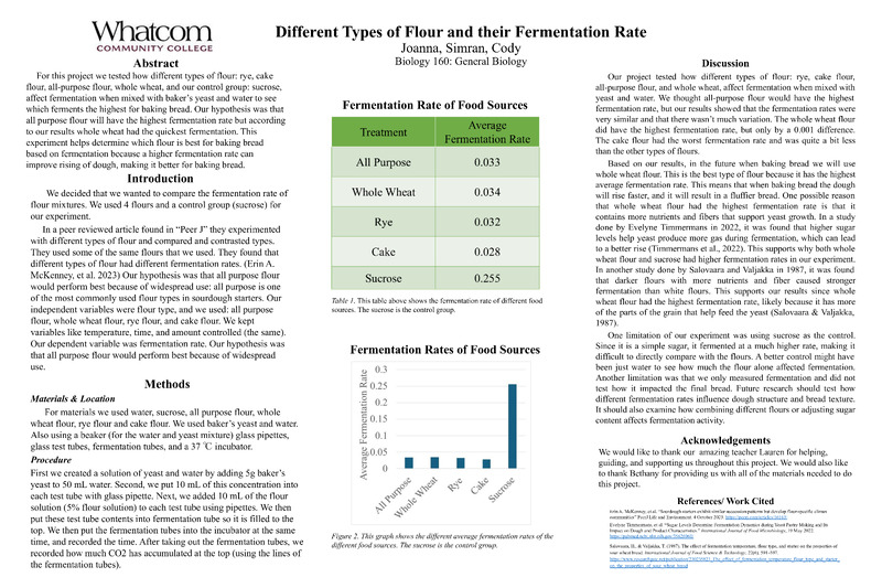 Different Types of Flour and their Fermentation Rate