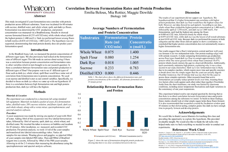 PDF/A "Correlation Between Fermentation Rates"