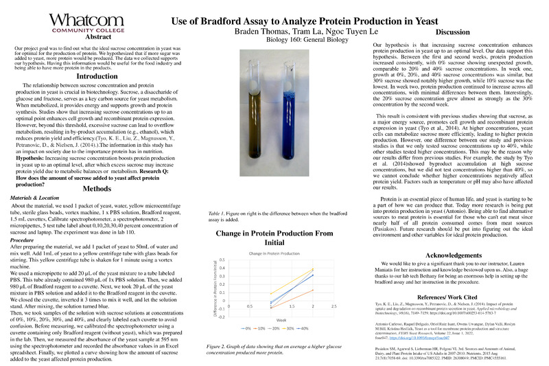 Use of Bradford Assay to Analyze Protein Production in Yeast