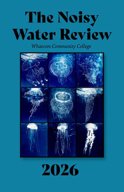 The Noisy Water Review 2026