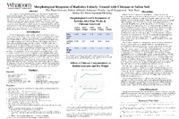 PDF/A "Morphological Response of Radishes"