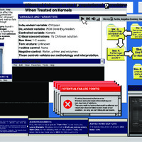 PDF/A "Effects of Chitosan"