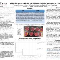 PDF " Group 1A Cure Project"