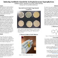 PDF "Biol& 222 Poster Presentation"