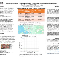 BIO research project.pdf