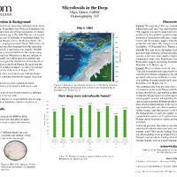 PDF "Microfossils"