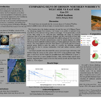 PDF/A Comparing Signs of Erosion