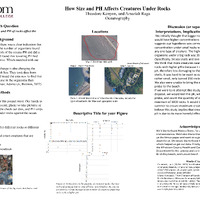PDF/A "How Does Size and pH affect creatures under rocks" a