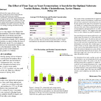 PDF/A "Effect of Flour Type on Yeast Fermentation"