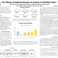 163 Poster.pdf