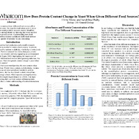 Final Poster.pdf
