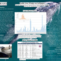 Copy of Postergraywhales (1).pptx (4).pdf