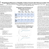 PDF/A "Morphological Response of Radishes"
