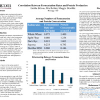 PDF/A "Correlation Between Fermentation Rates"