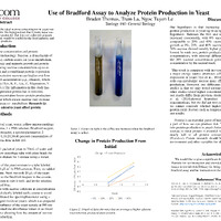 Protein Production.pdf